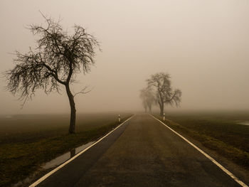 Empty road by trees against sky during foggy weather