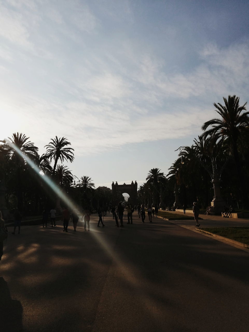 GROUP OF PEOPLE WALKING ON PALM TREES