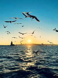 Seagulls flying over sea against clear sky