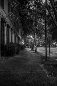 Empty road along trees