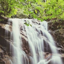 Scenic view of waterfall in forest