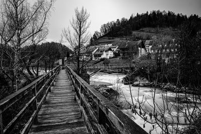 Boardwalk amidst plants and trees against sky