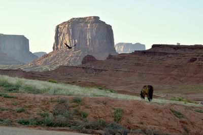 Horse on rock formation against sky