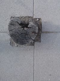 High angle view of umbrella on street