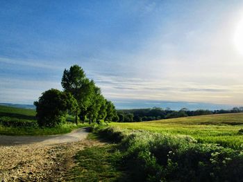 Scenic view of field against sky