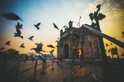 Silhouette birds flying against sky during sunset