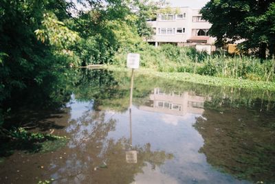 Reflection of building in puddle