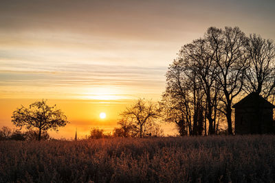 Silhouette trees on field against sky during sunset