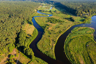 Aerial summer beautiful view of merkine, merkys and nemunas rivers confluence, lithuania