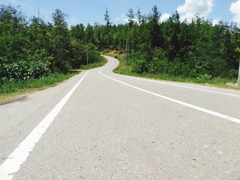 Empty road along trees and plants