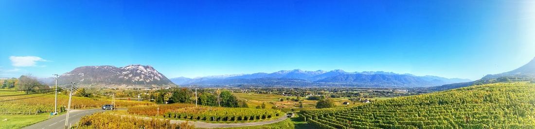 Panoramic view of agricultural field against blue sky