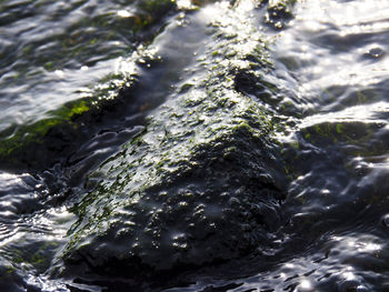 View of water flowing through rocks