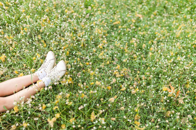 Close-up of human hand on rock in field