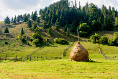 Scenic view of grassy field against cloudy sky