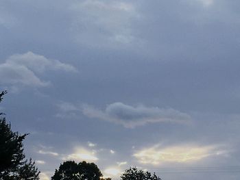 Low angle view of silhouette trees against sky