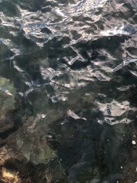 High angle view of rippled water