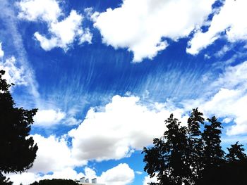 Low angle view of trees against cloudy sky