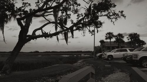 Cars on street by field against sky at dusk