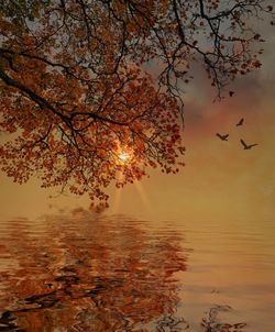 Bird flying over sea against sky during sunset