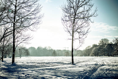 Bare trees on snow covered field against sky