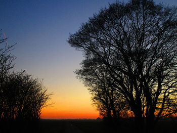 Silhouette trees on field against clear sky at sunset