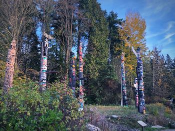 Trees in forest against sky