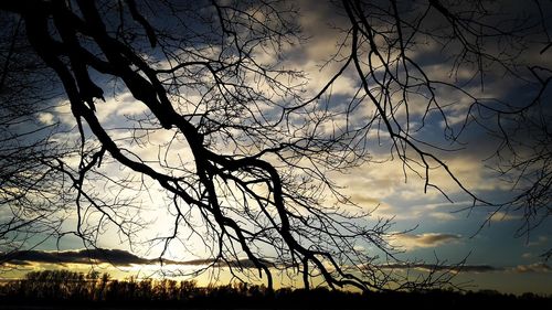 Low angle view of silhouette trees against sky during sunset