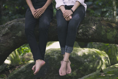 Low section of friends sitting on tree