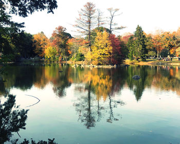 Scenic view of lake by trees during autumn