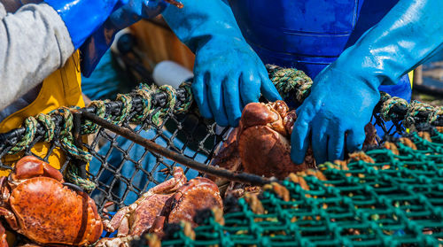 High angle view of people at fish market