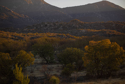 Scenic view of mountains against sky during autumn