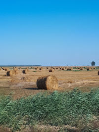 Hay bales on field against clear blue sky