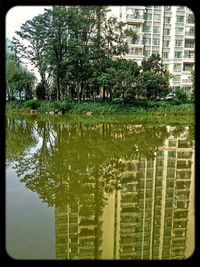 Reflection of buildings in water