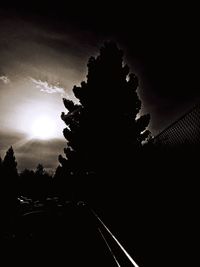 Silhouette trees against sky at night