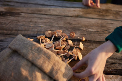 Low section of person standing on wood