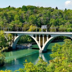 Bridge over river against trees