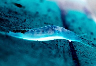 Close-up of water against blue sky