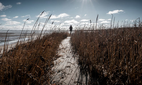 Man standing on field against sky