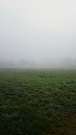 Scenic view of field in foggy weather