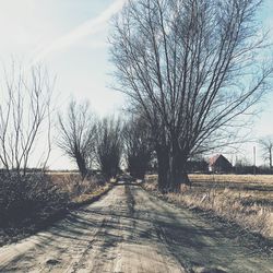 Dirt road passing through field