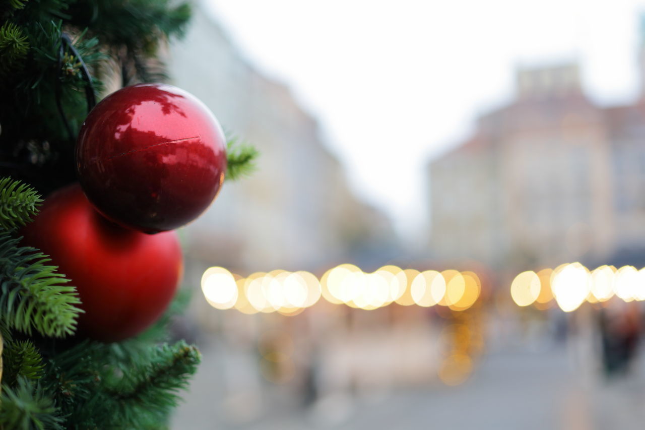 holiday, christmas, celebration, tree, christmas decoration, decoration, christmas tree, tradition, plant, christmas ornament, nature, illuminated, focus on foreground, red, branch, city, close-up, no people, architecture, christmas lights, outdoors, event, selective focus, defocused, building exterior, winter, flower, shiny