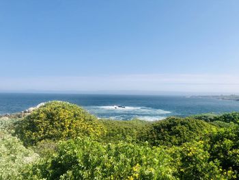 Scenic view of sea against clear sky