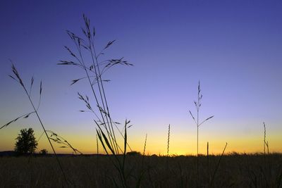 Scenic view of field against sky at sunset