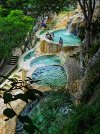 High angle view of waterfall along plants