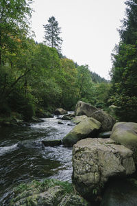 Scenic view of rocks in forest against clear sky