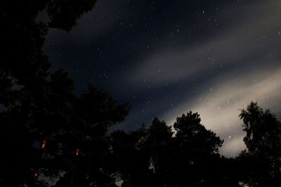 Low angle view of silhouette trees against sky at night