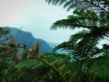 Scenic view of mountain against sky