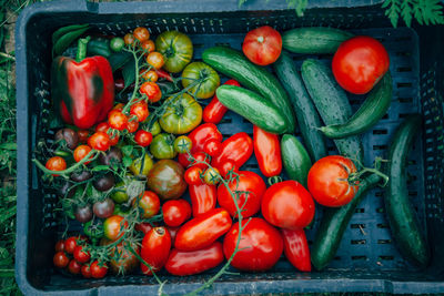 High angle view of tomatoes and red bell peppers