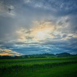 Scenic view of landscape against cloudy sky