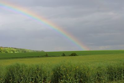 Scenic view of rainbow over field